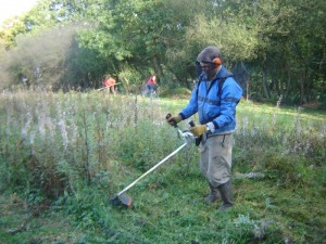 Clearing Weeds